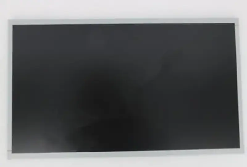 Innolux M195FGE-L20 LCD