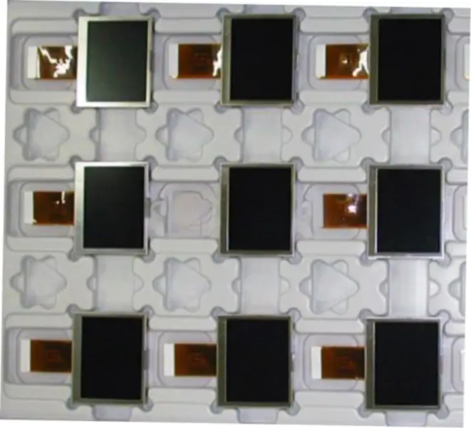 AUO A020BL01 V0 LCD