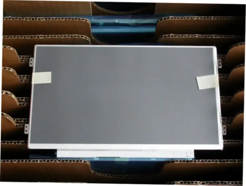 AUO B101AW02 V0 LCD