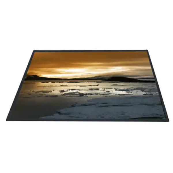 AUO B101UAT03.1 LCD