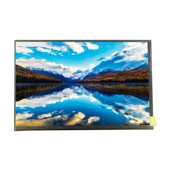 AUO G101UAN02.0 LCD