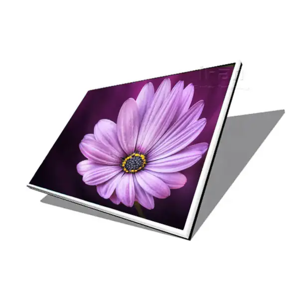 Remplacement du panneau LCD G320ZAN01.0 AUO pour écran tactile
