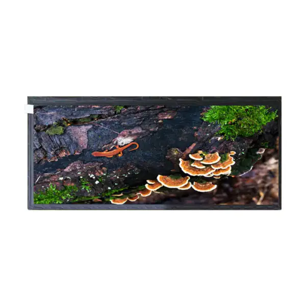 HSD123KPW2-A10 HannStar zamiennik panelu LCD do panelu dotykowego
