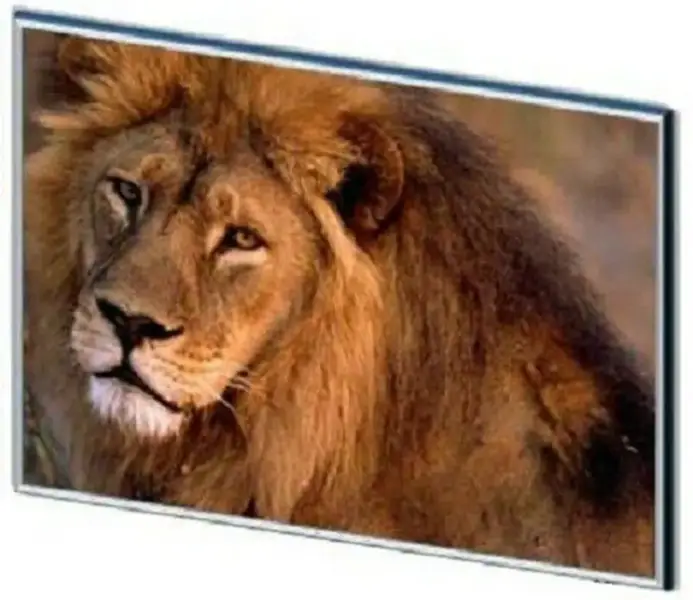 Sharp LQ113S1LH13 LCD