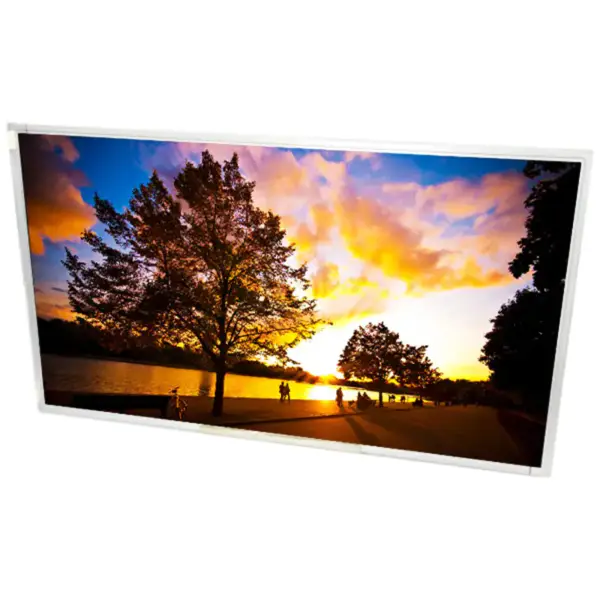 Chimei Innolux M270H1-L0A LCD