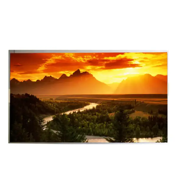 AUO P215HAN01.0 LCD