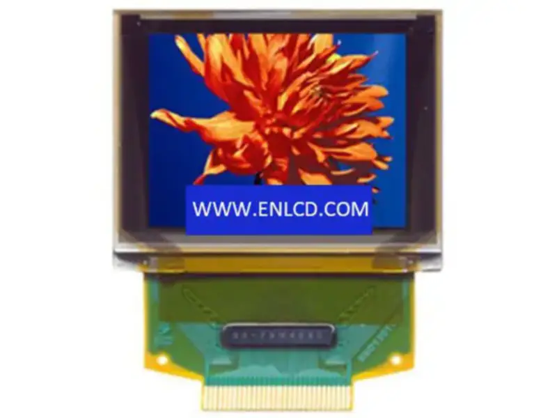 WiseChip UG-2896GDEAF11 LCD