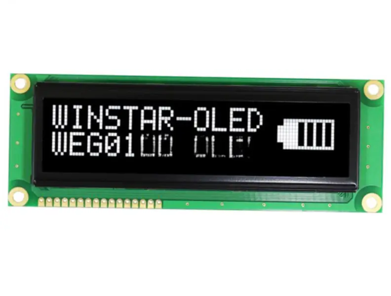 Winstar WEG010016BW LCD
