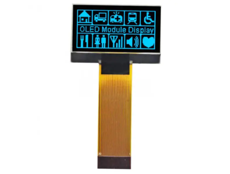 Winstar WEO012864FS LCD
