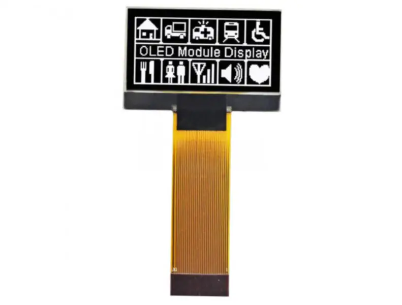 Winstar WEO012864FW LCD