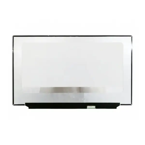 B173han05.0 17.3 Inch Full-hd Ips Gaming Lcd LED screen No Bracket