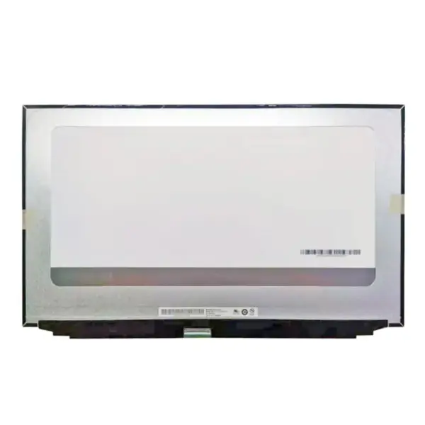 B173ZAN03.3 LCD Screen