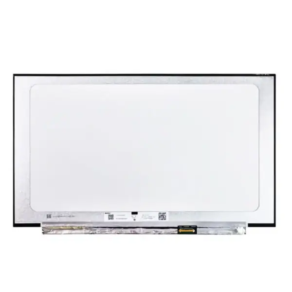 Schermo LCD N161HCA-EA3